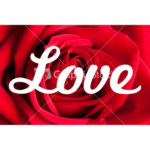 THE FOUR PHASES OF LOVE