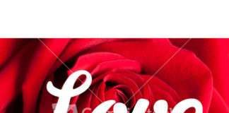 THE FOUR PHASES OF LOVE