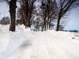 Strange Facts About Life