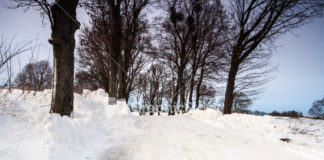 Strange Facts About Life