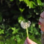 FREE PEXEL  person-girl-cute-young-medium