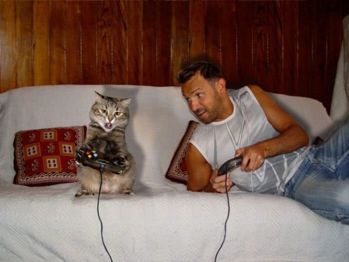 CAT AND THE WISE MAN